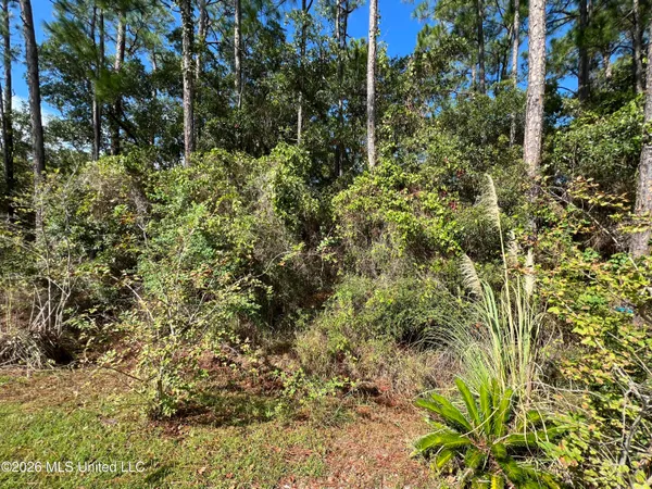 $17,000 | Pinewood Dr Pass, Pass Christian, MS 39571