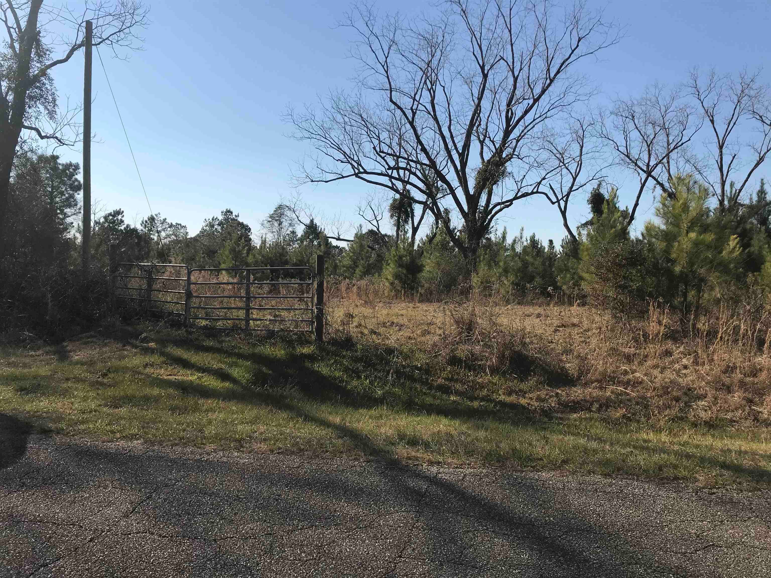22-ac Hesters Store Road Red Level, AL 36474 - Photo 7 of 7 Gallery Image 7