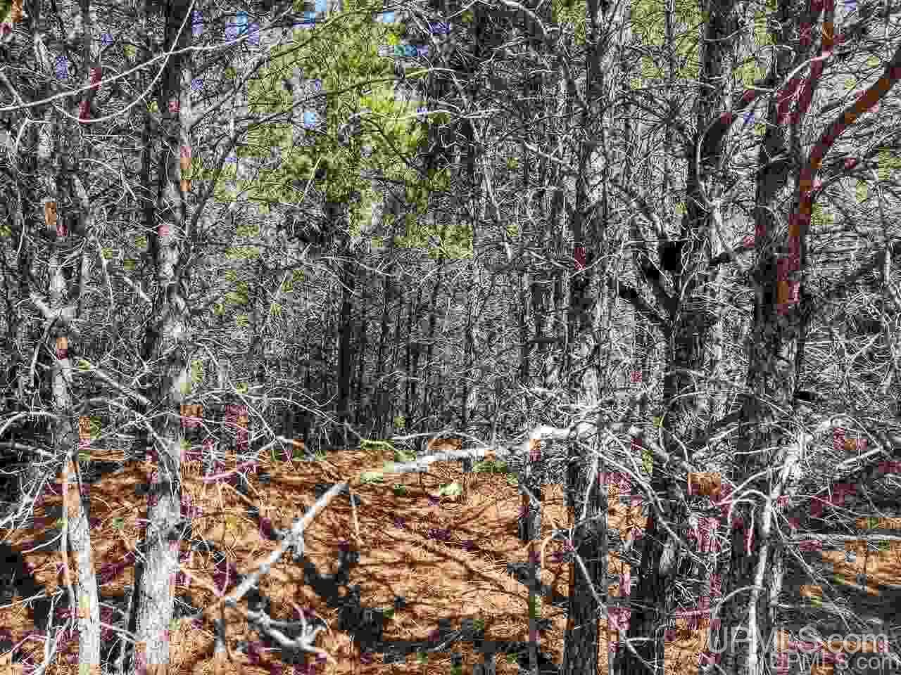 Tbd Forest Hwy 16 Road Iron River, MI 49935 - Photo 21 of 49