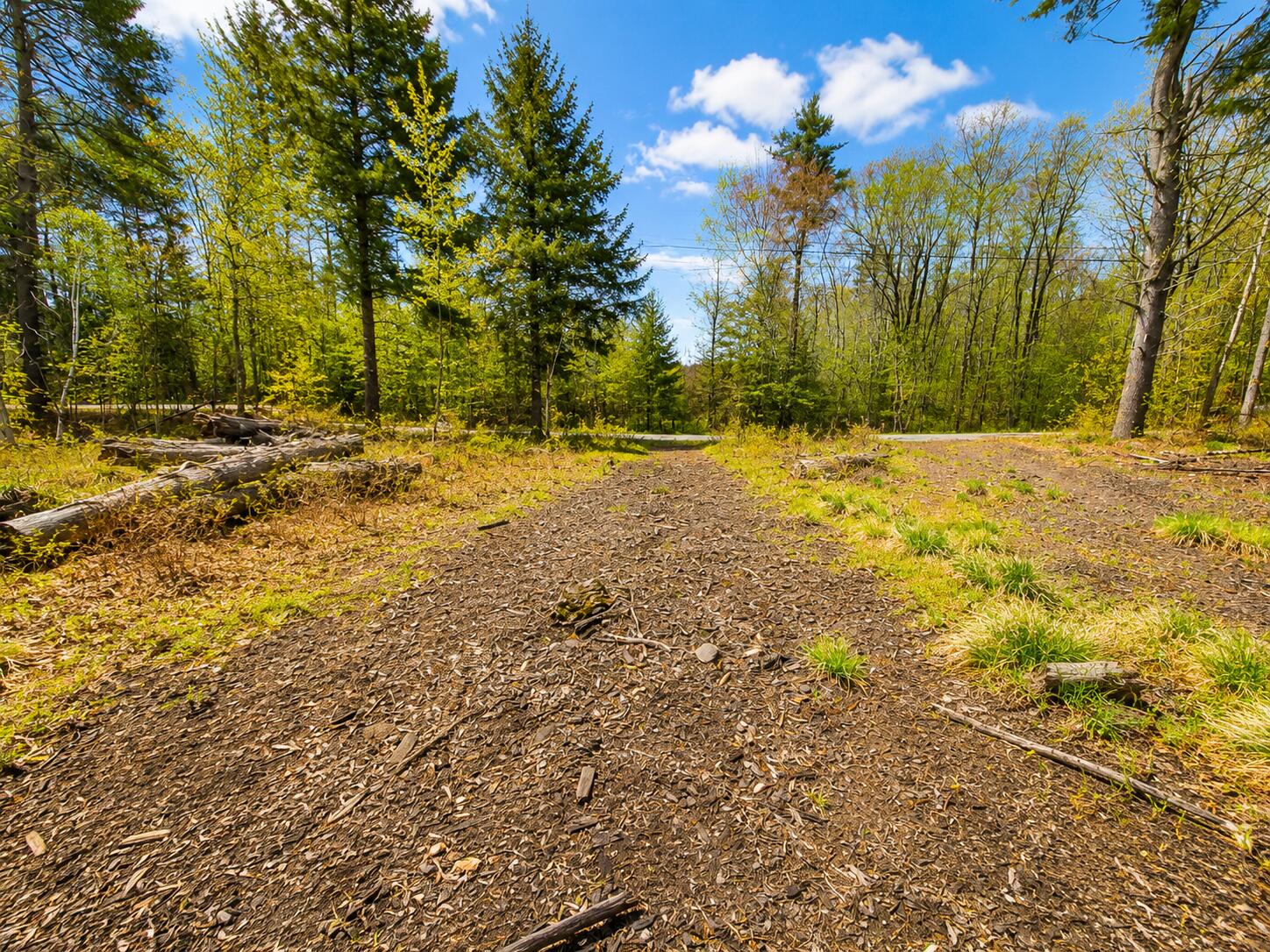 Map13-lot30 Clarks Bridge Road North Waterboro, ME 04061 - Photo 4 of 6 FC966DEB-3C13-49E8-839C-7AB705BC6F4F