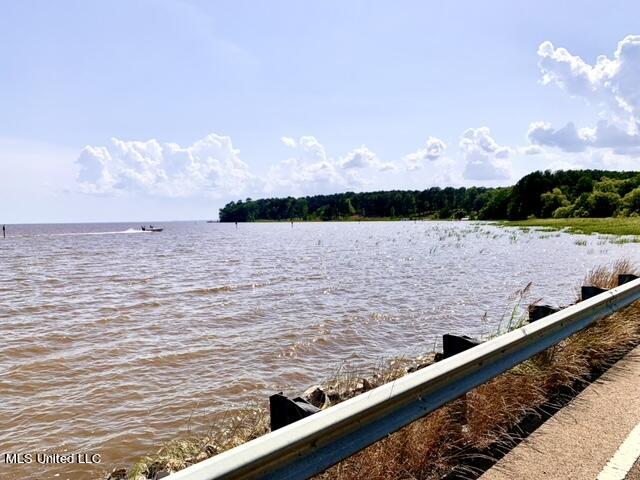 Lot 23 Neptune Shore Canton, MS 39046 - Photo 18 of 20 IMG_4658