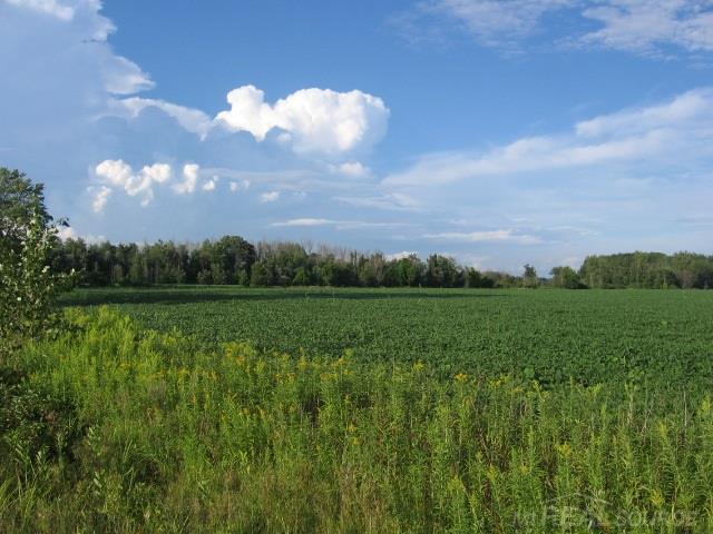 Tbd Fitch Carsonville, MI 48419 - Photo 2 of 7