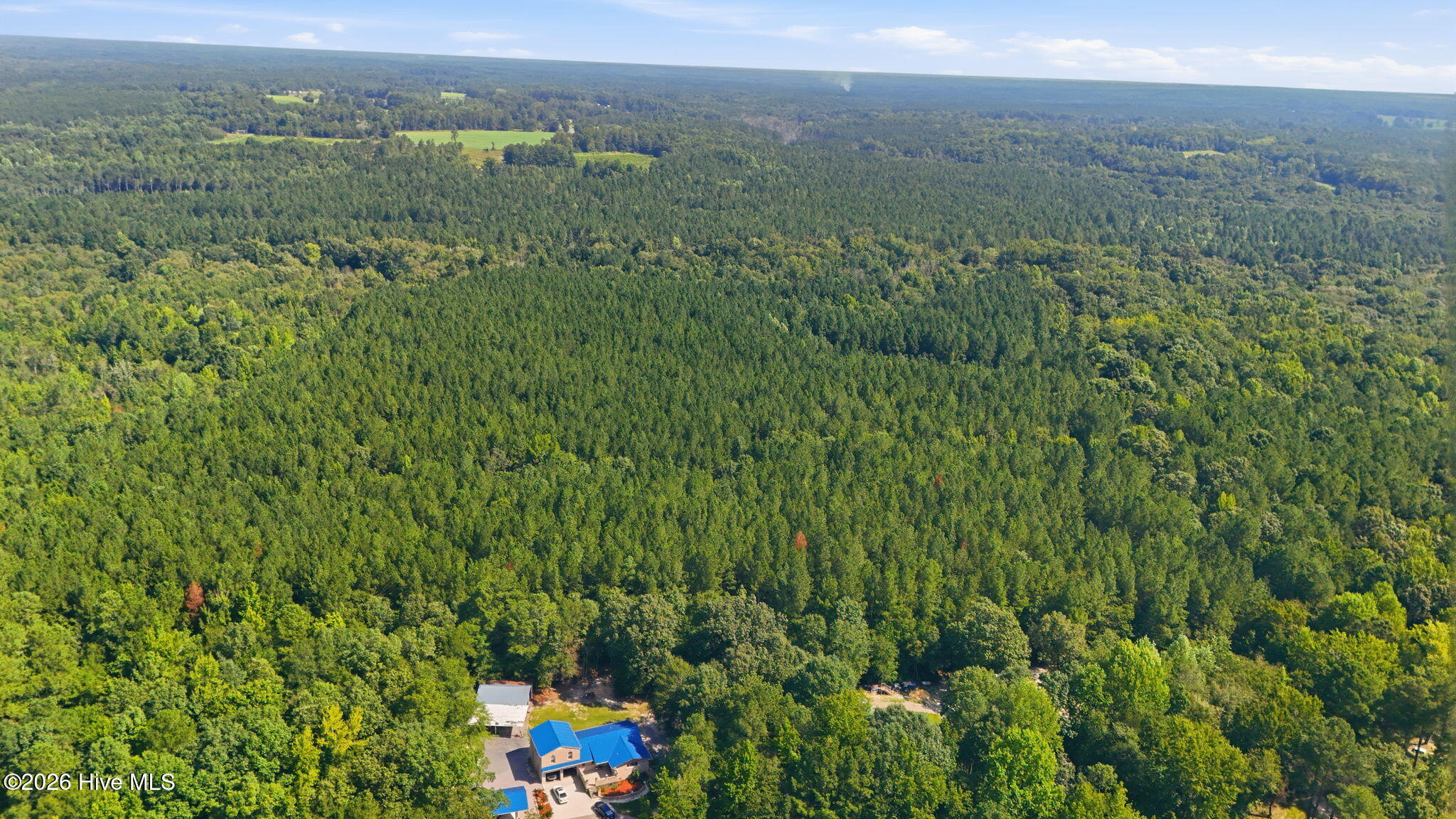 Off Pats Road Vass, NC 28394 - Photo 26 of 27 Gallery Image 26