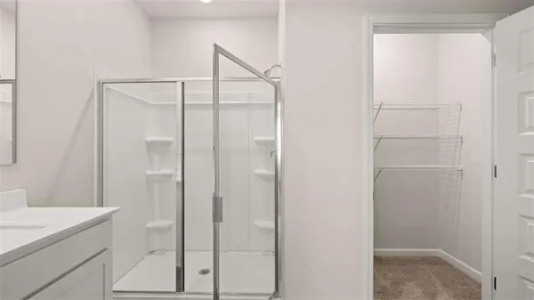 a bathroom with a shower and a sink