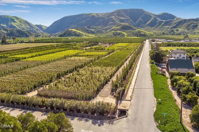 a view of residential houses with outdoor space and city view