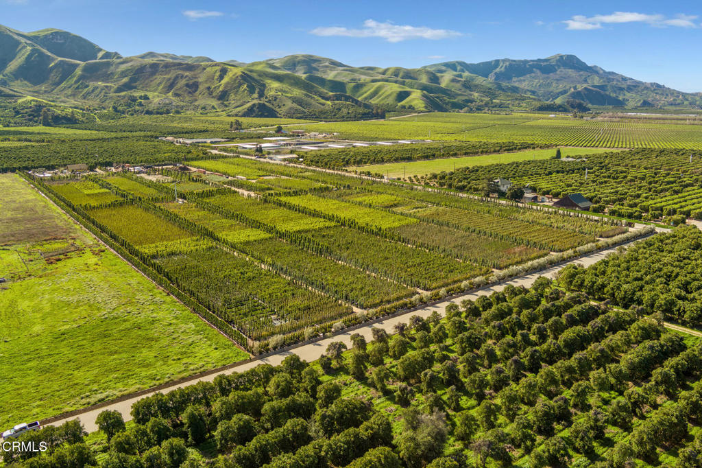 2245 California Street Fillmore, CA 93015 - Photo 8 of 13 a view of an ocean from a mountain