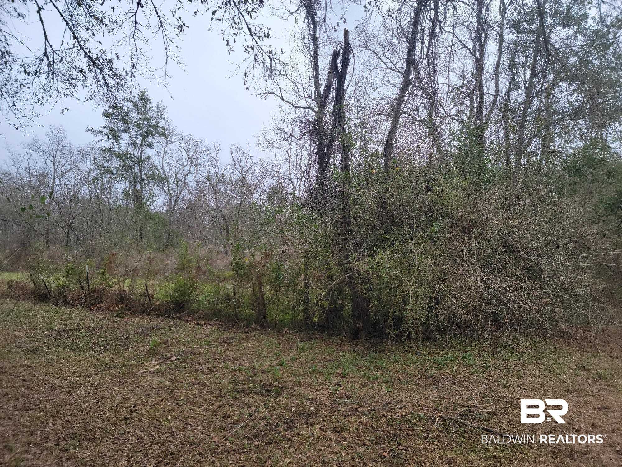10735 Beverly Road Irvington, AL 36544 - Photo 24 of 27