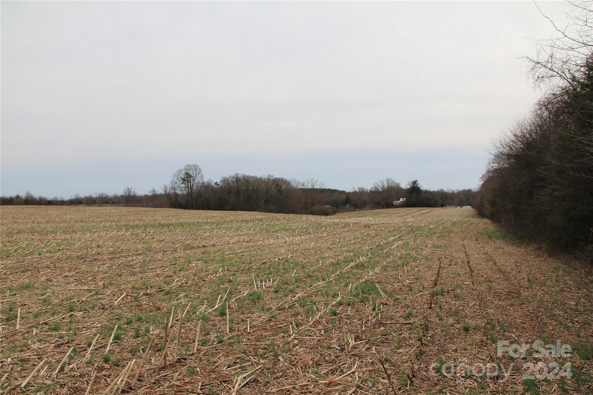 582 Tatum Road Olin, NC 28660 - Photo 11 of 11