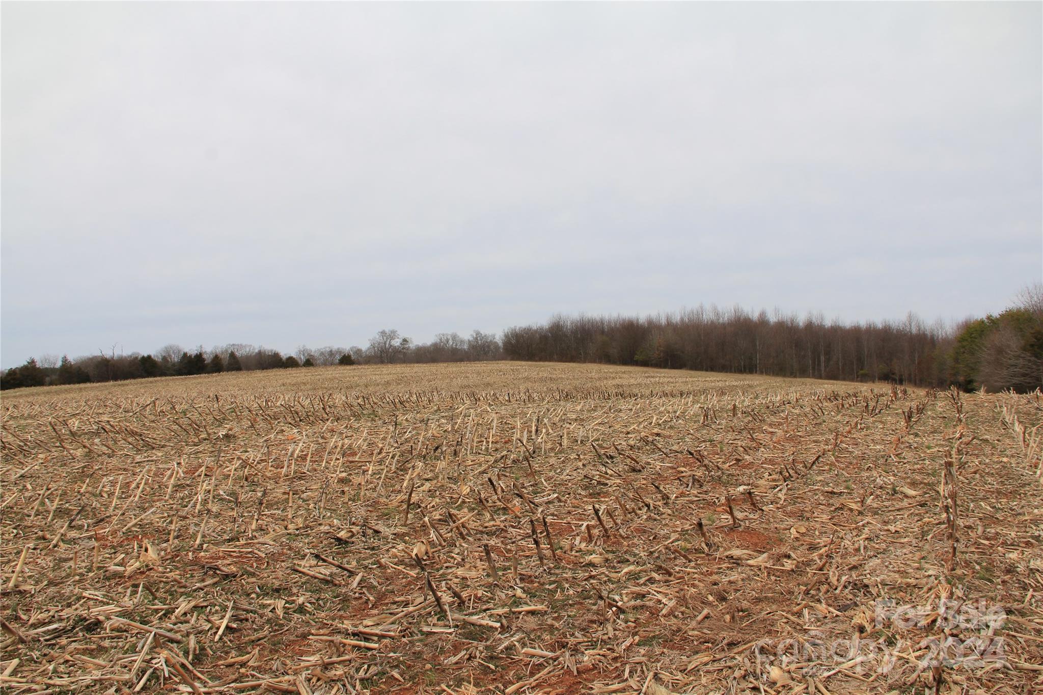 582 Tatum Road Olin, NC 28660 - Photo 2 of 11