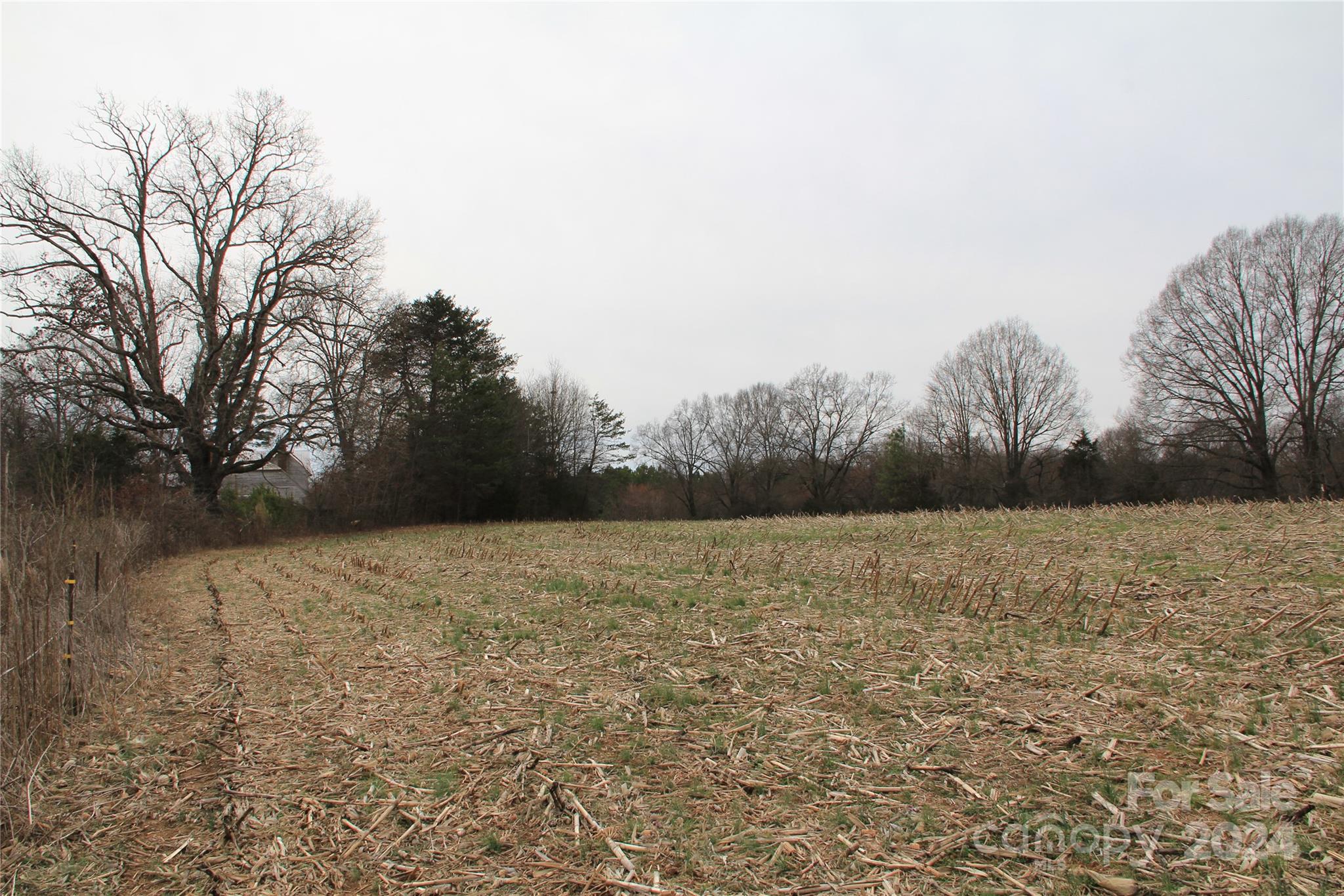 582 Tatum Road Olin, NC 28660 - Photo 4 of 11