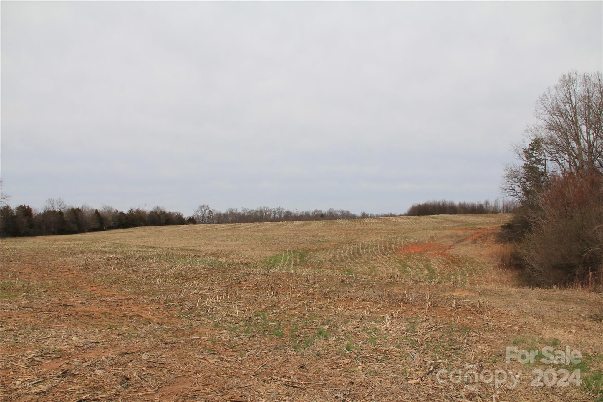 582 Tatum Road Olin, NC 28660 - Photo 5 of 11