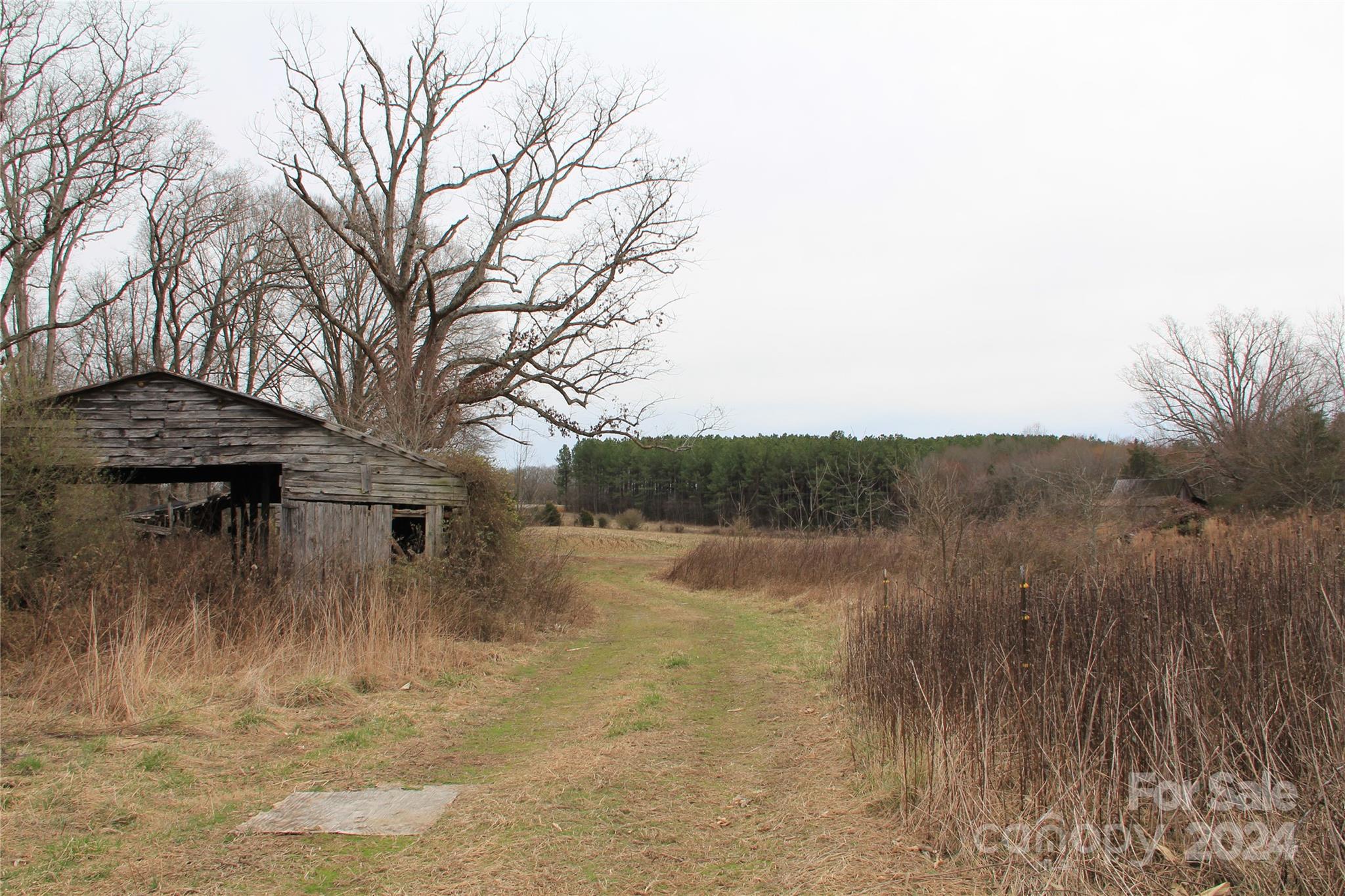 582 Tatum Road Olin, NC 28660 - Photo 6 of 11