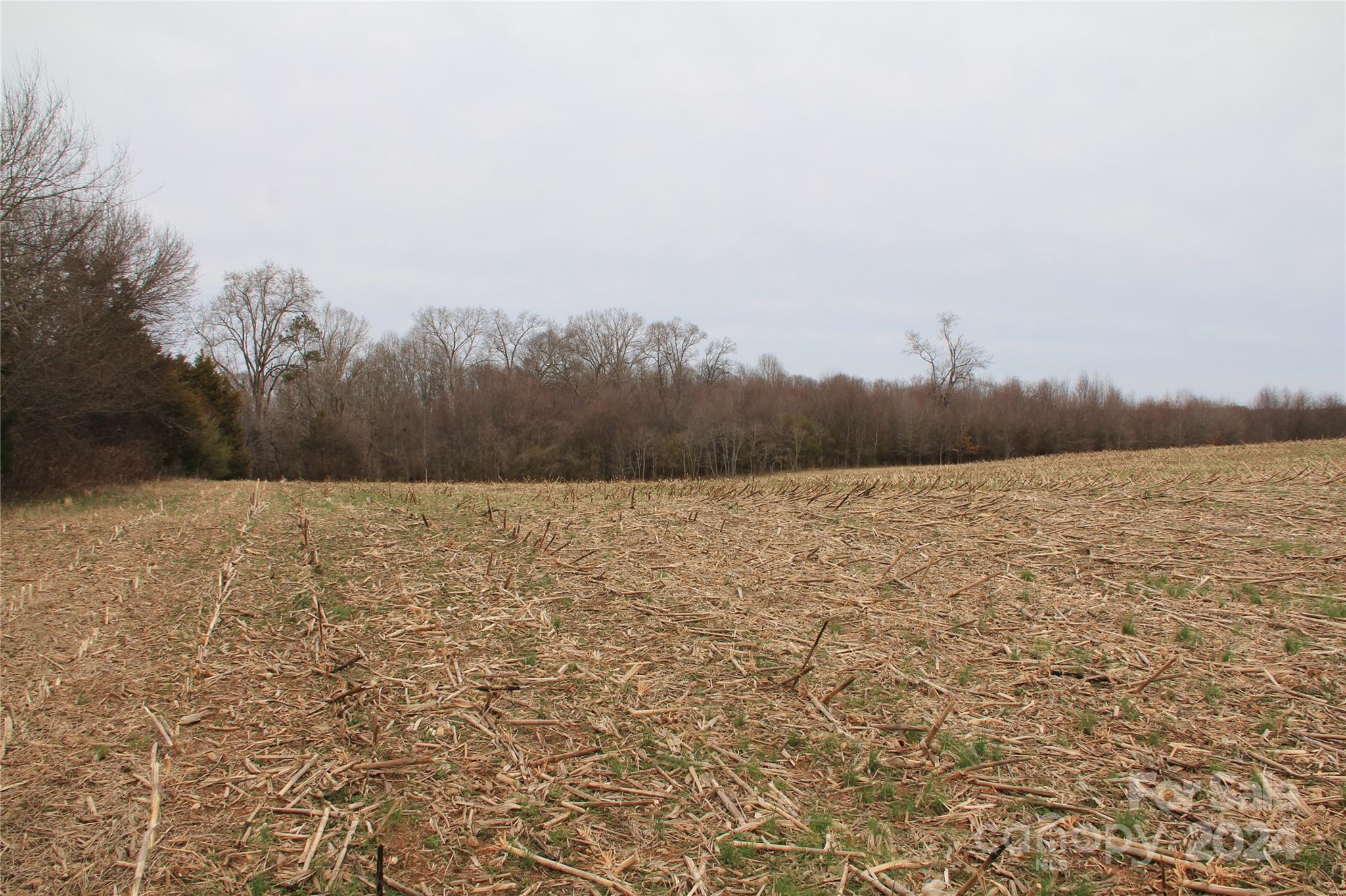 582 Tatum Road Olin, NC 28660 - Photo 9 of 11