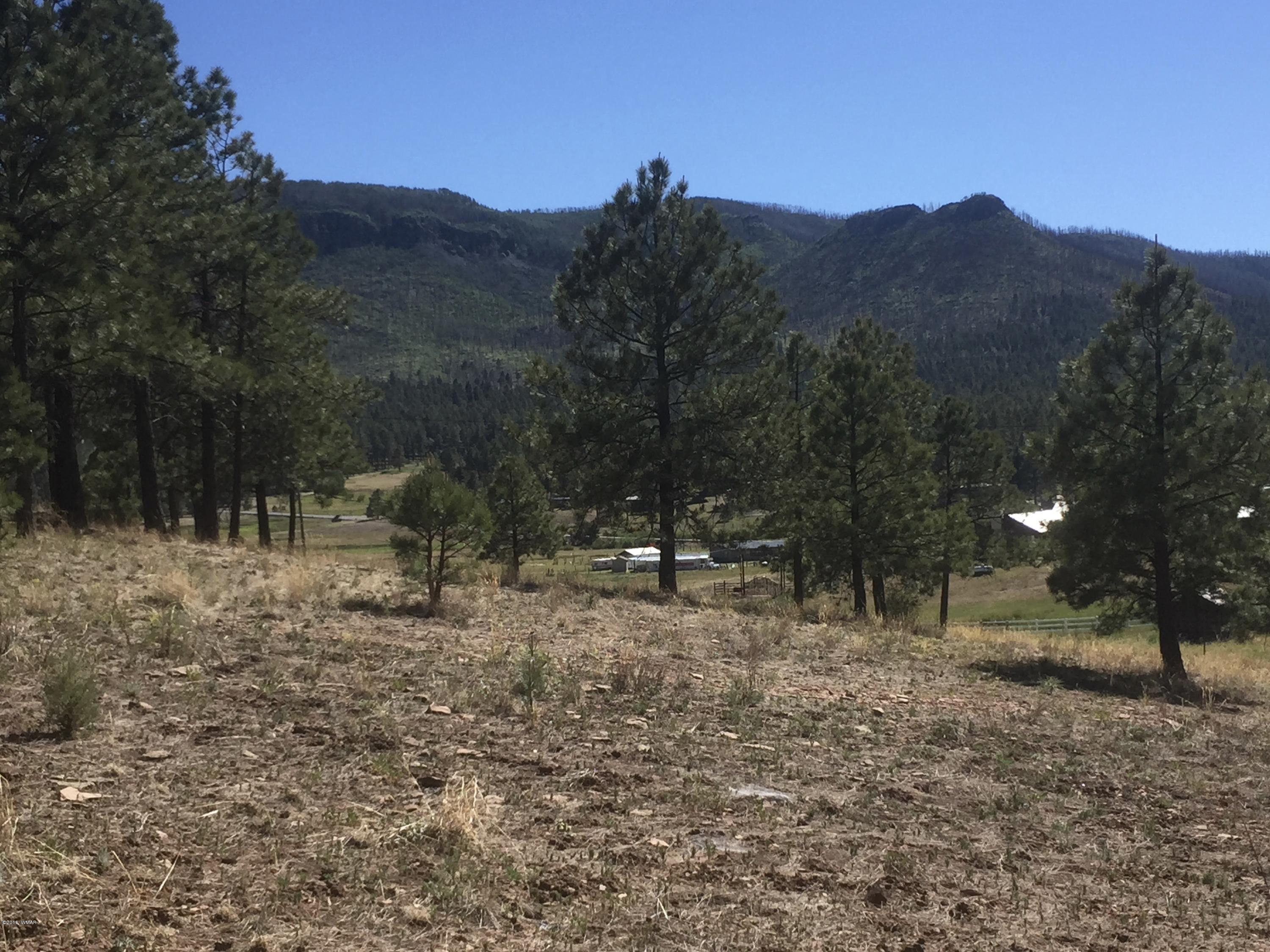 26 A Highway Springerville, AZ 85938 - Photo 1 of 10