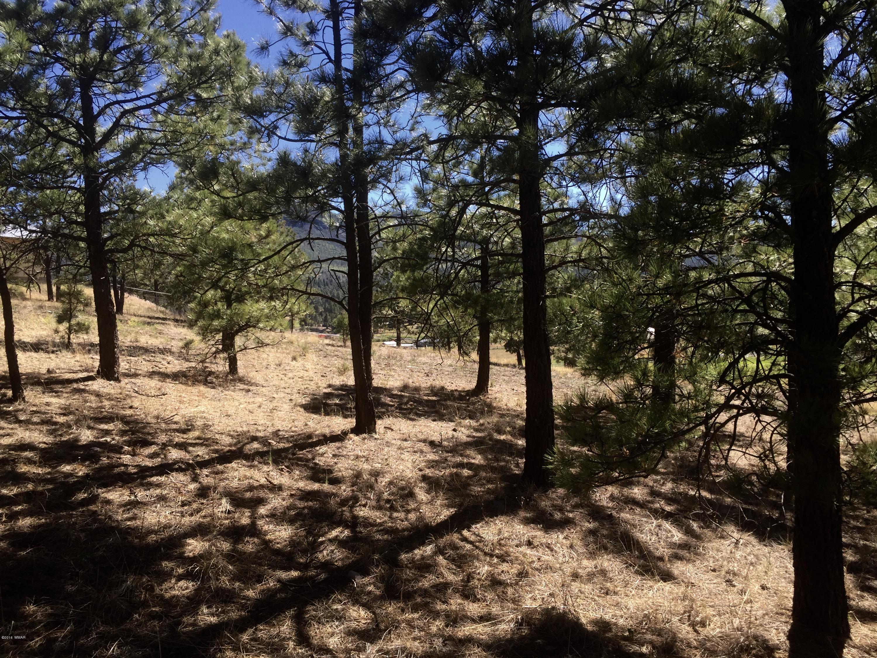 26 A Highway Springerville, AZ 85938 - Photo 2 of 10