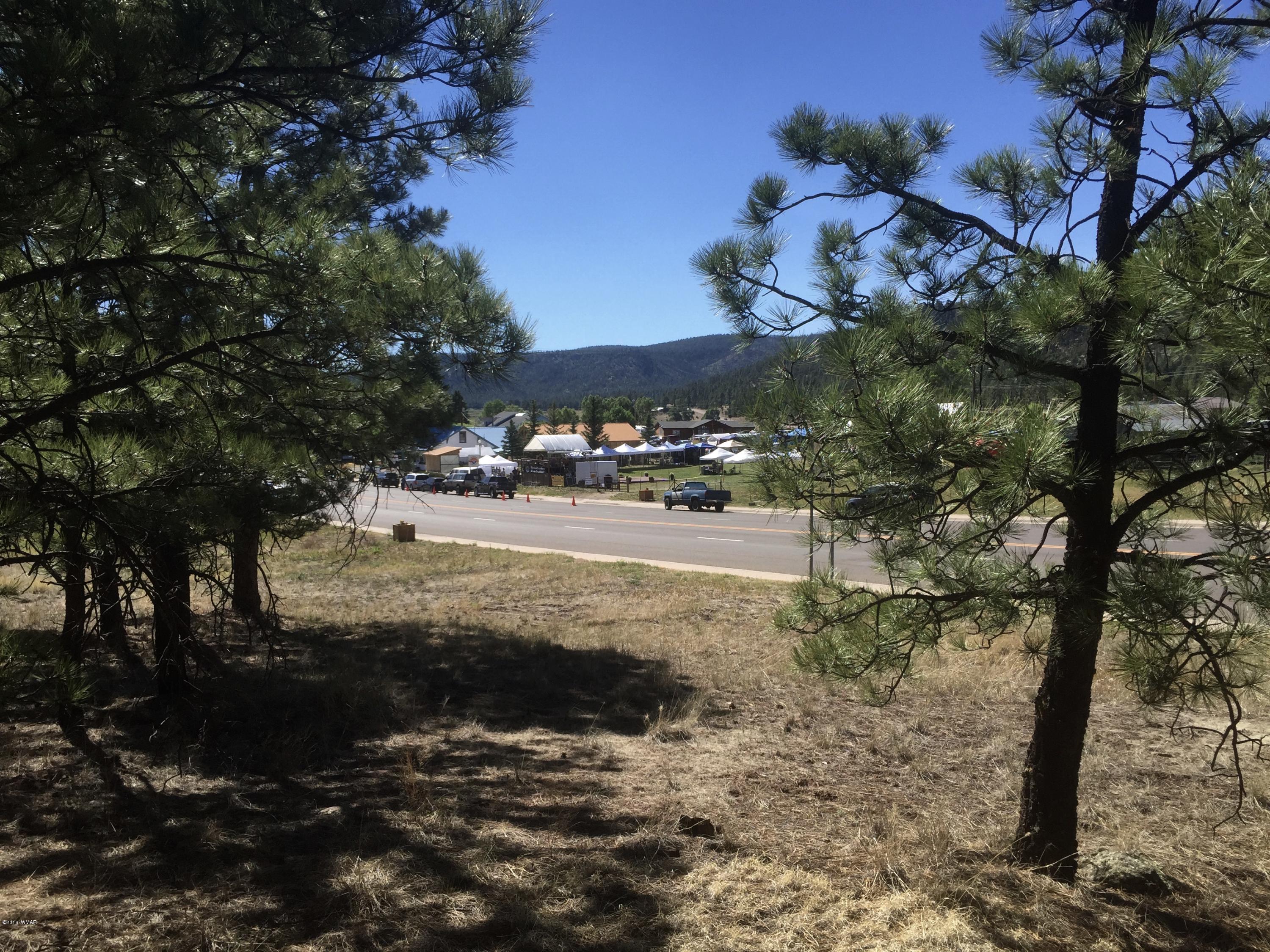 26 A Highway Springerville, AZ 85938 - Photo 3 of 10