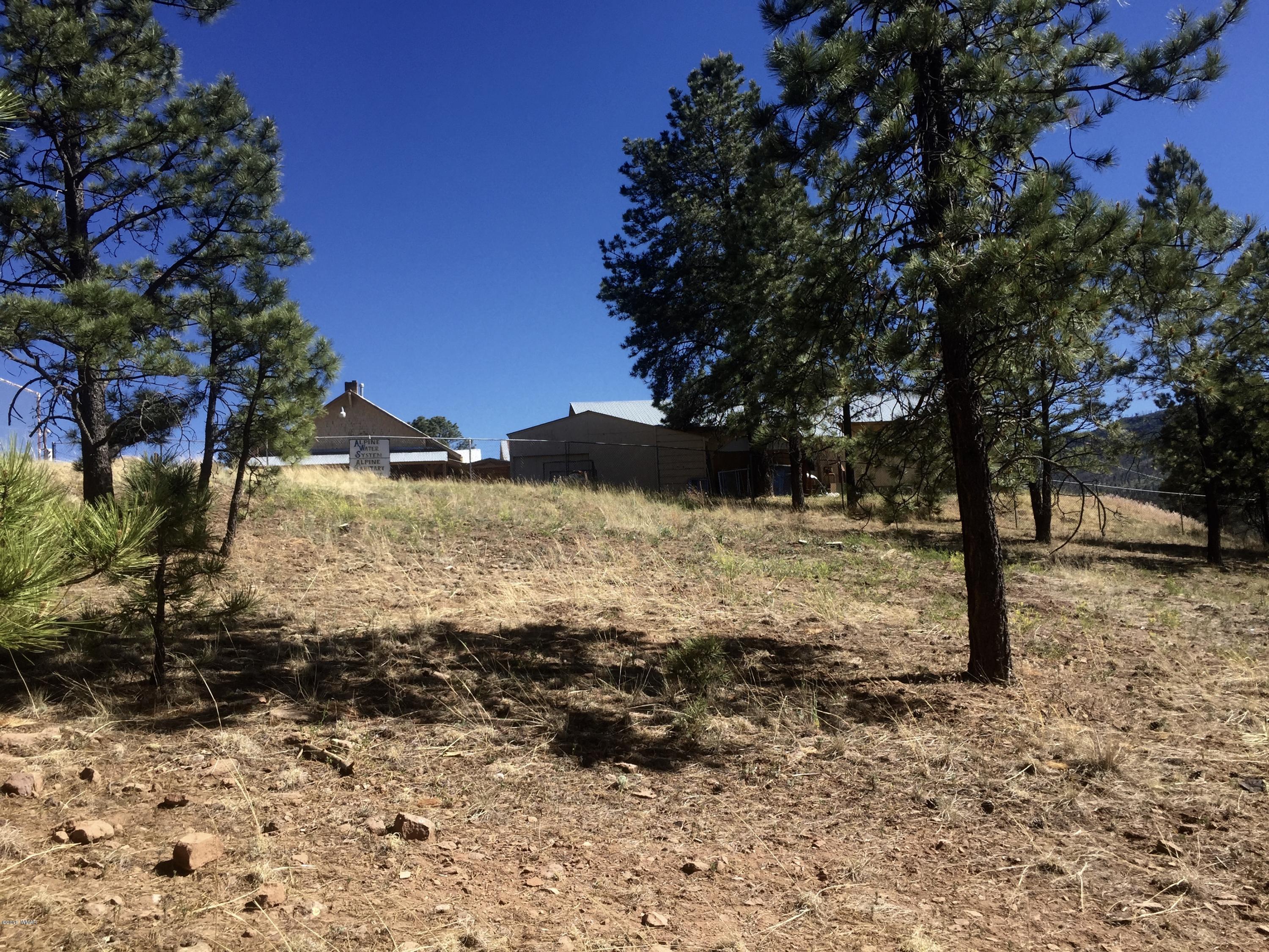26 A Highway Springerville, AZ 85938 - Photo 4 of 10
