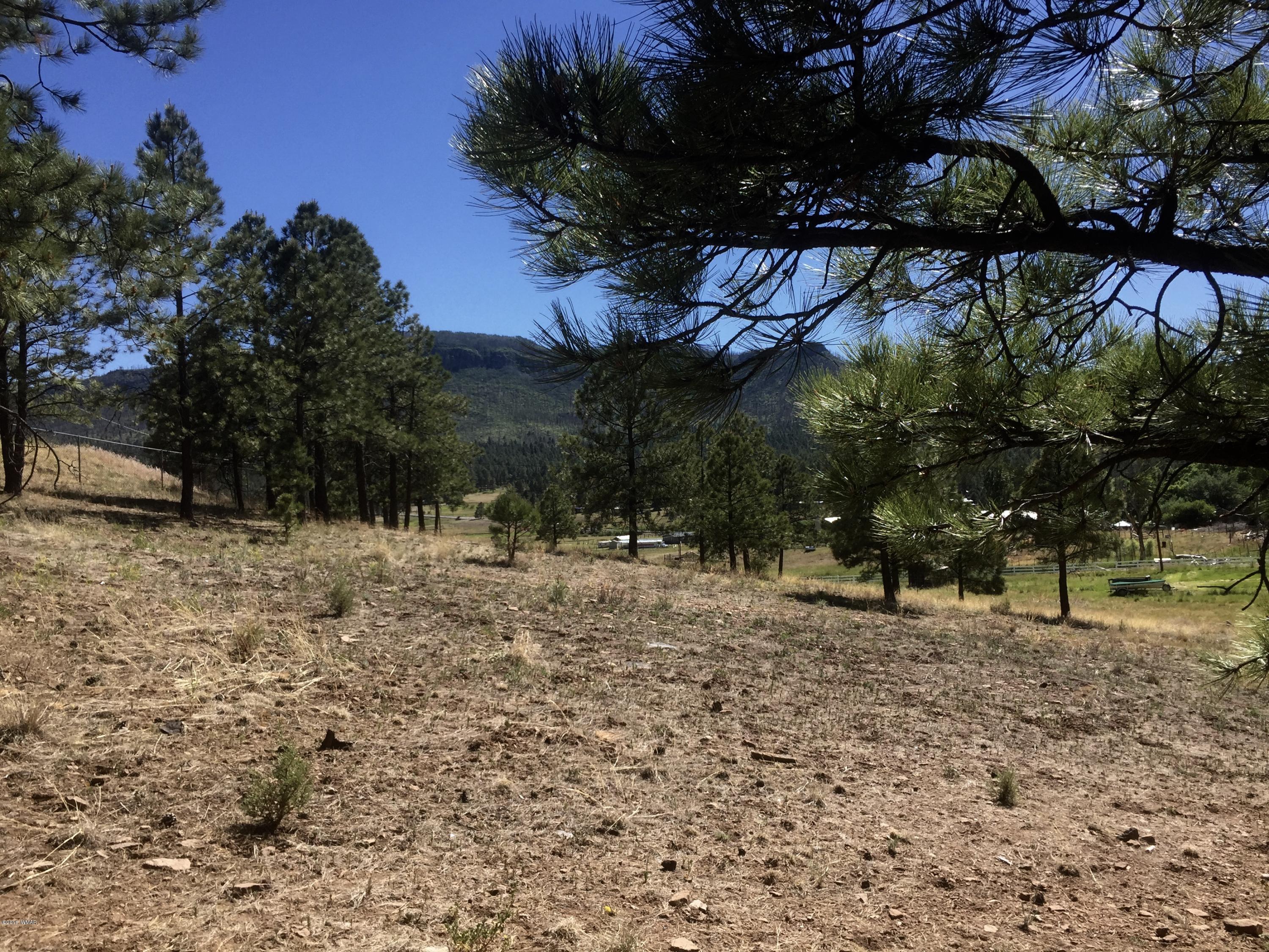 26 A Highway Springerville, AZ 85938 - Photo 5 of 10