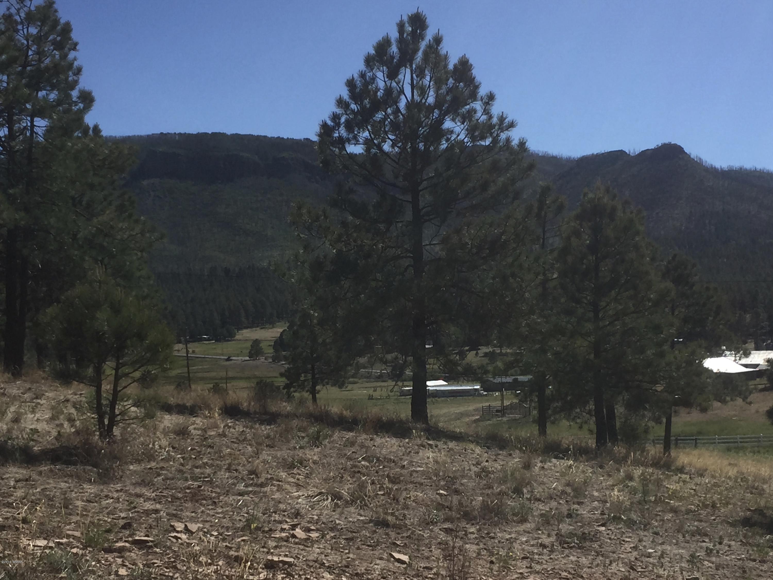 26 A Highway Springerville, AZ 85938 - Photo 6 of 10