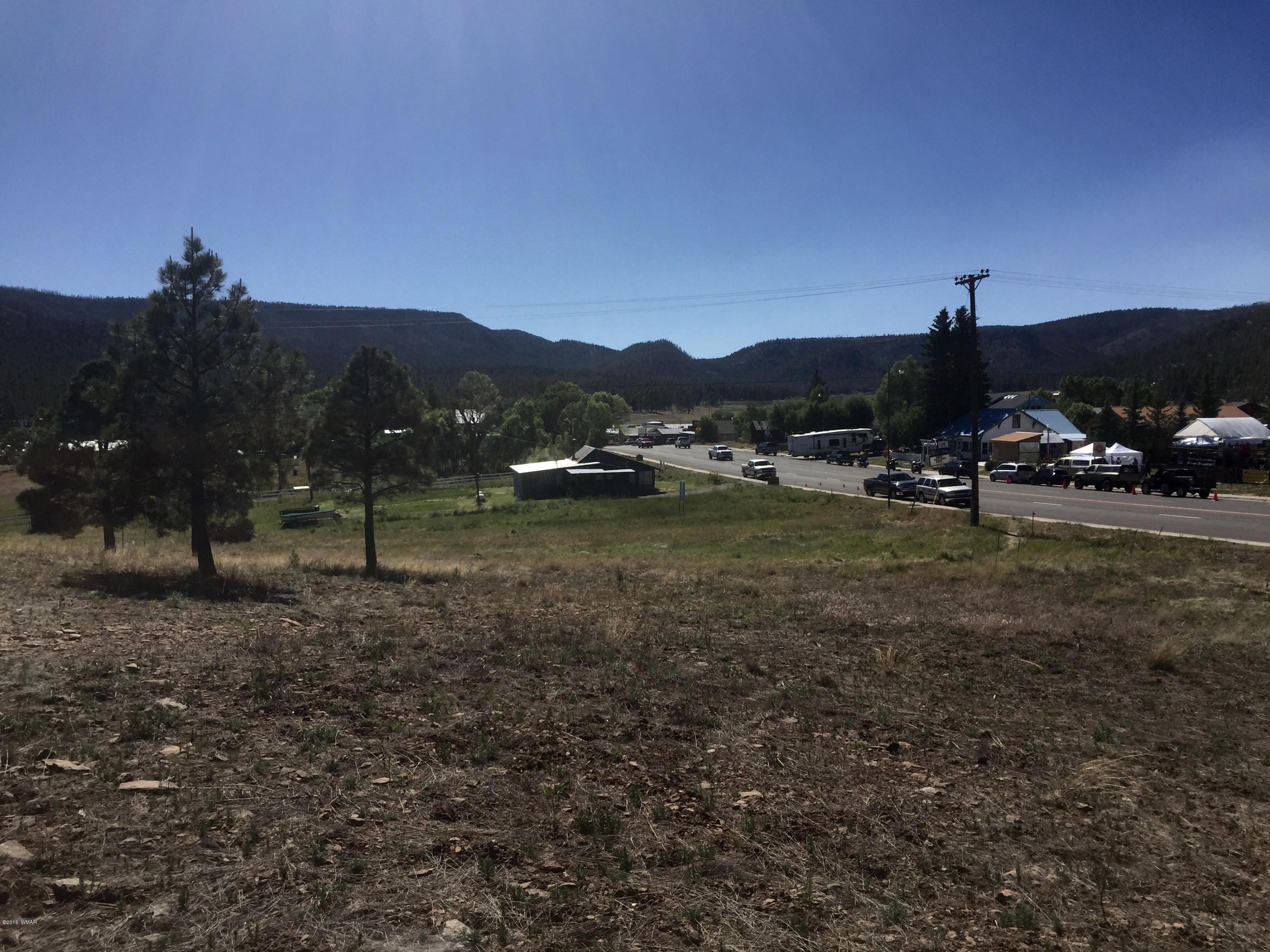 26 A Highway Springerville, AZ 85938 - Photo 7 of 10