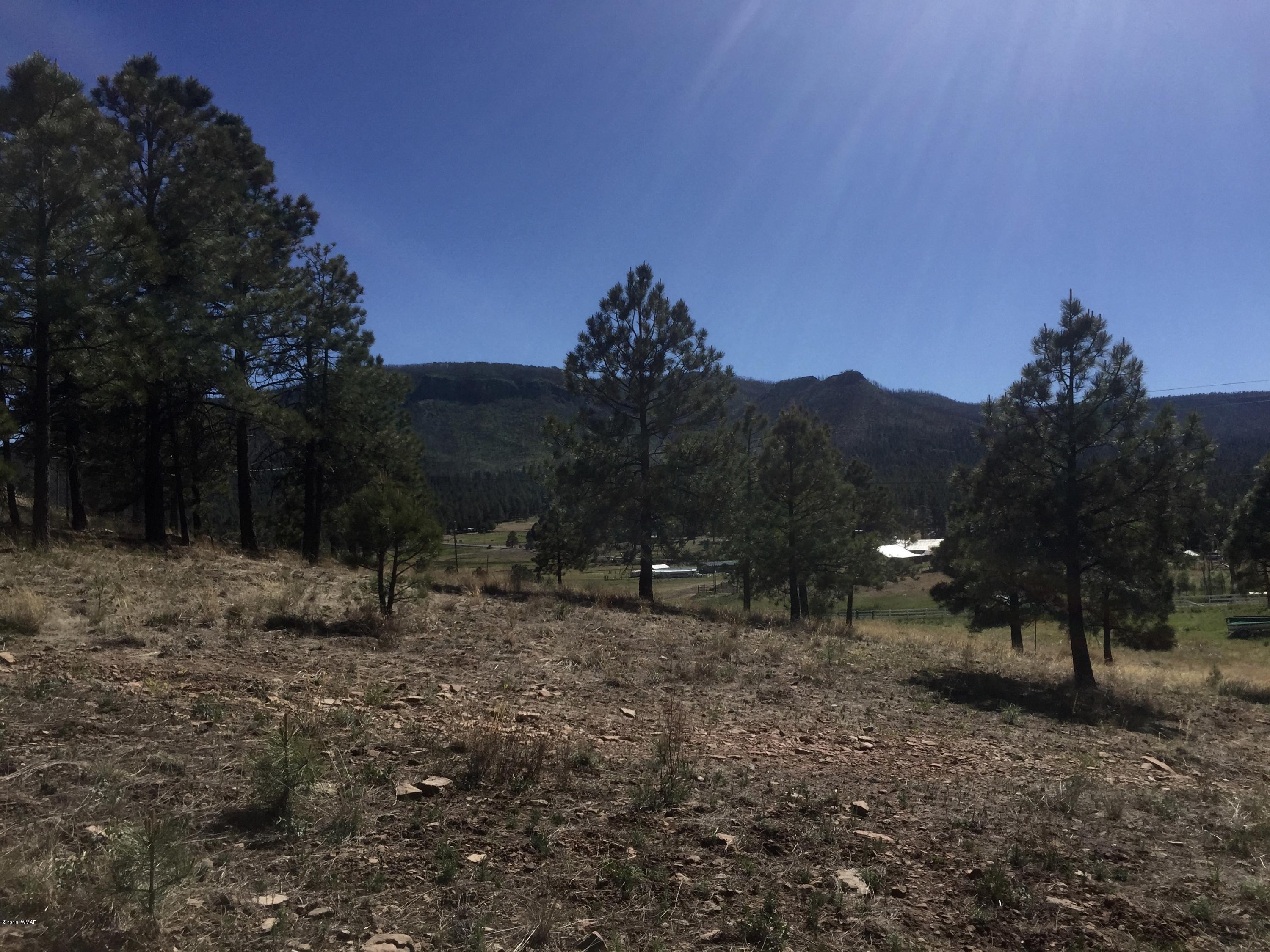 26 A Highway Springerville, AZ 85938 - Photo 9 of 10