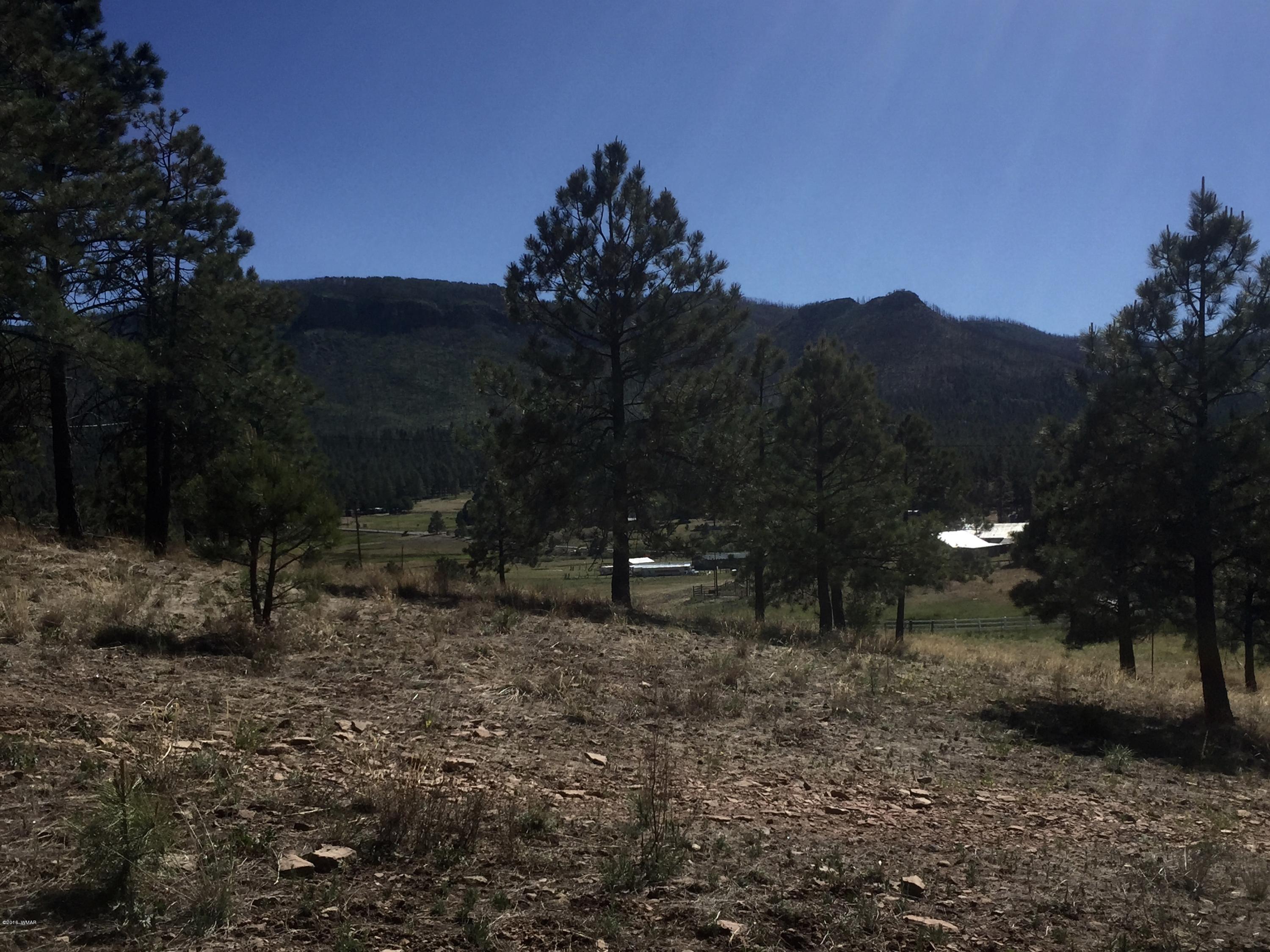 26 A Highway Springerville, AZ 85938 - Photo 10 of 10