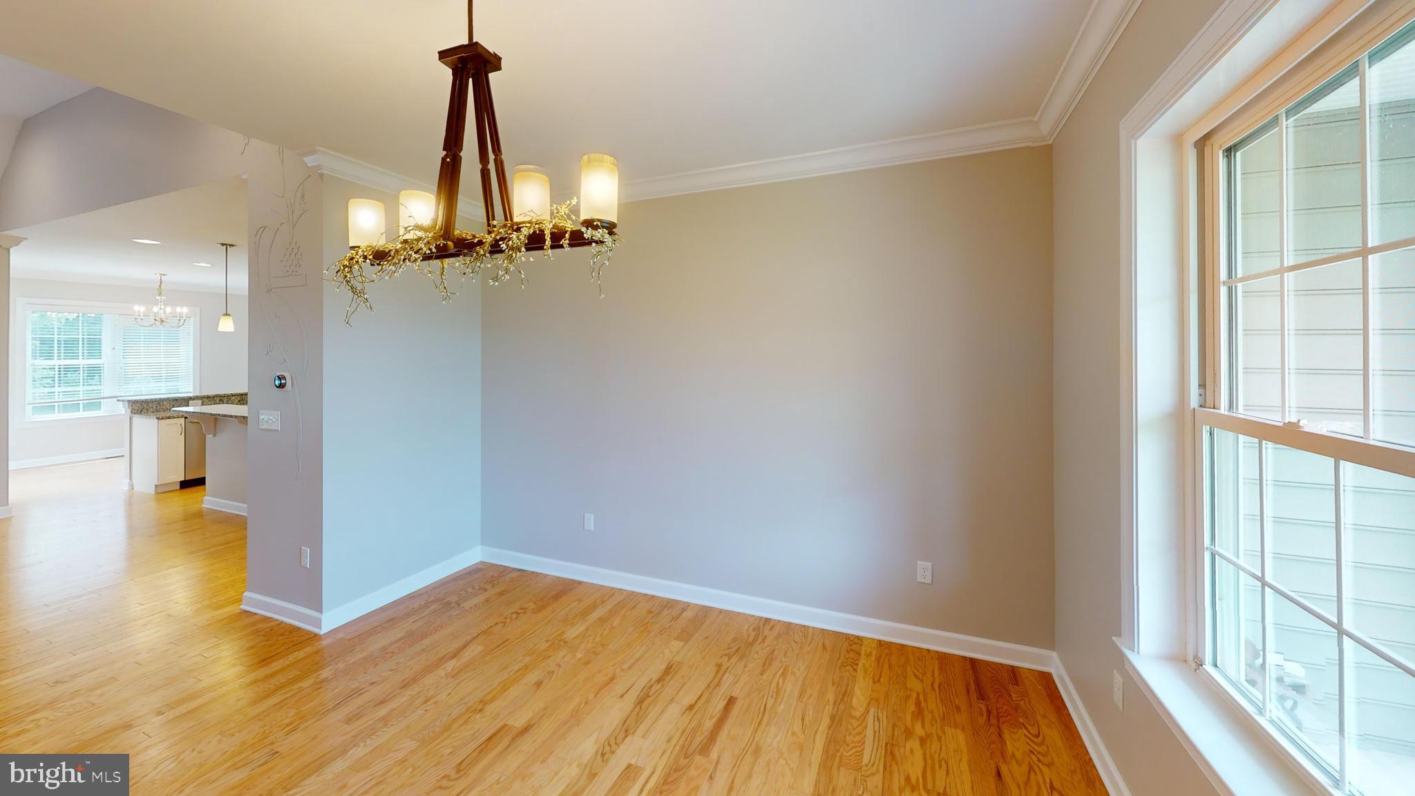 17785 Pimlico Road Milton, DE 19968 - Photo 62 of 65 Gallery Image 62