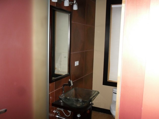 132 Old Dundee Road Barrington, IL 60010 - Photo 20 of 22 a bathroom with a sink and a mirror