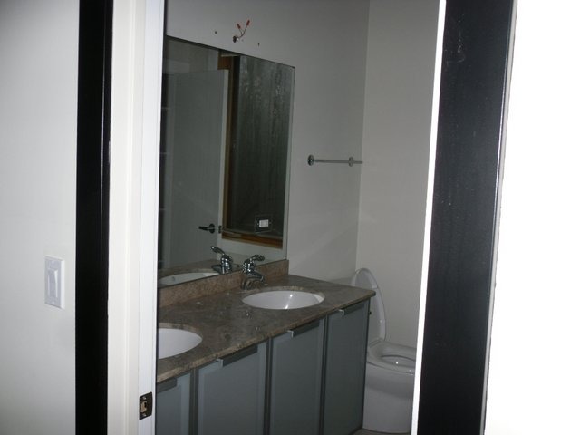 132 Old Dundee Road Barrington, IL 60010 - Photo 22 of 22 a bathroom with a sink and a mirror