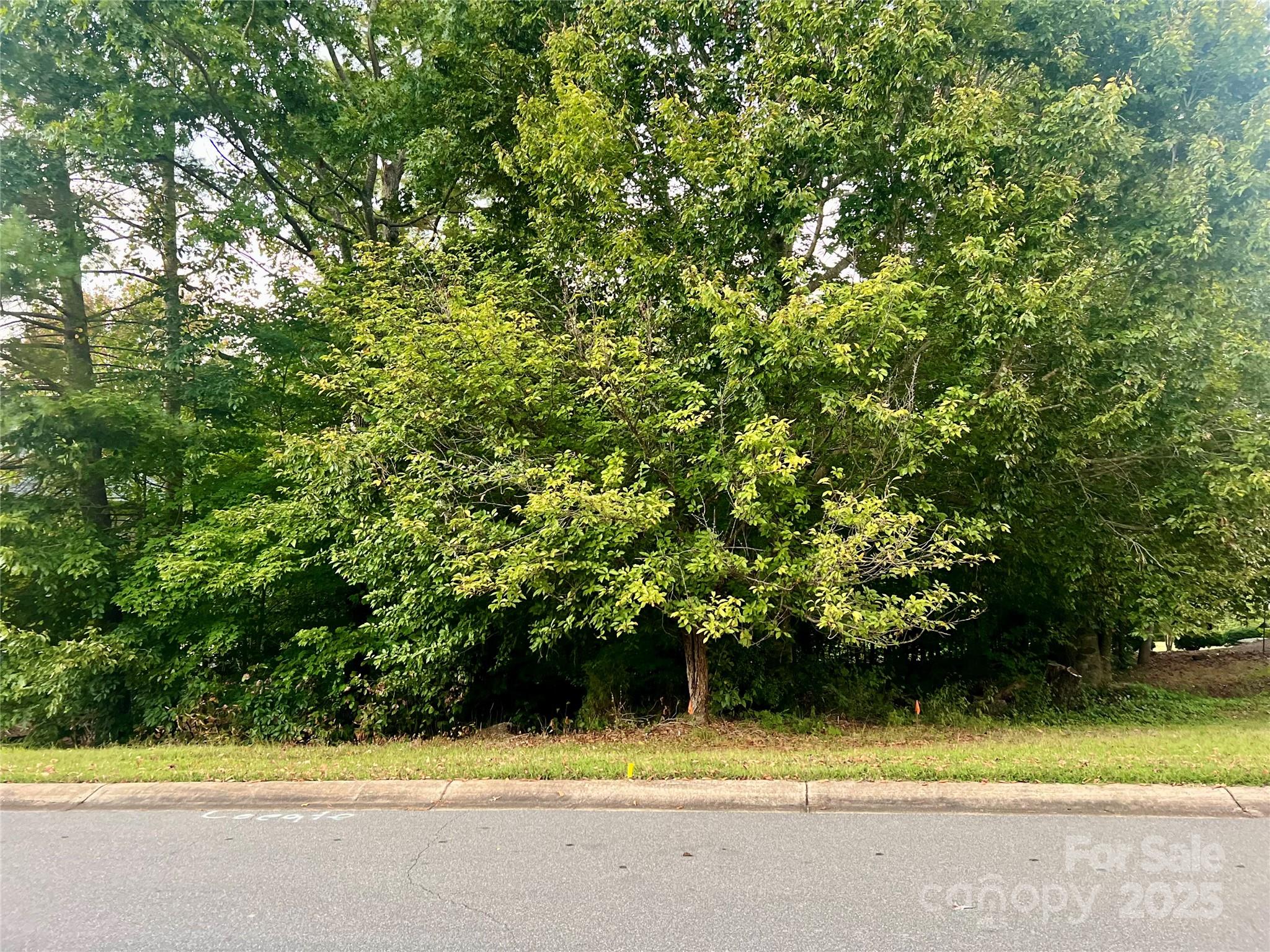 Lot 6 Scenic Ridge Drive Hickory, NC 28601 - Photo 2 of 5 a view of a garden and basketball court