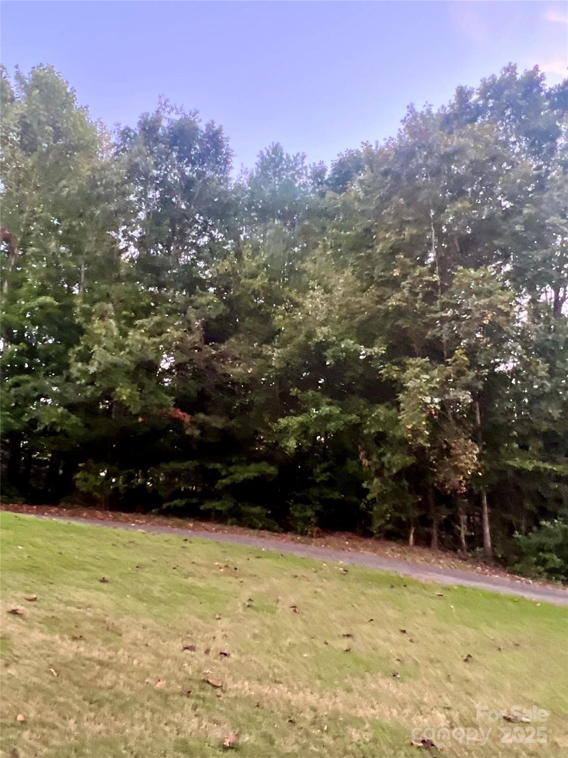 Lot 6 Scenic Ridge Drive Hickory, NC 28601 - Photo 3 of 5