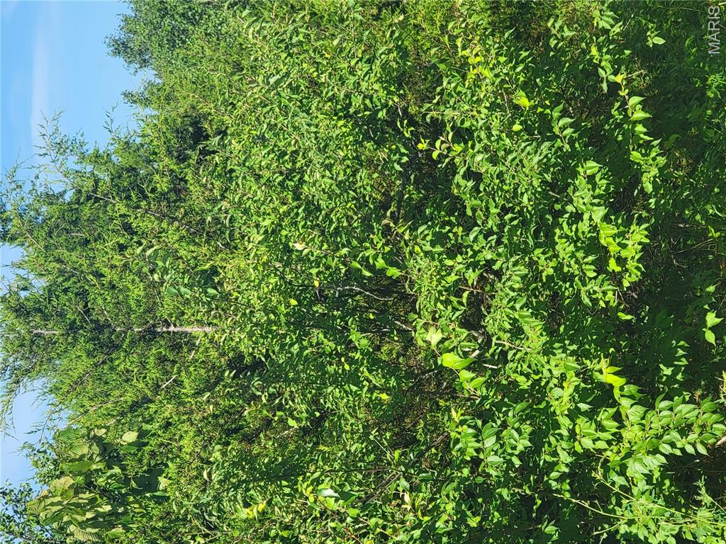 5060 Fox Crk Road Pacific, MO 63069 - Photo 1 of 1