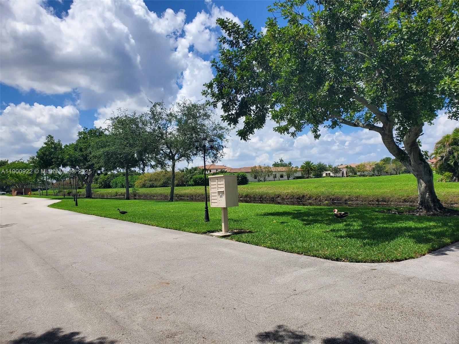 4206 Southwest 87th Terrace, Unit 4206 Davie, FL 33328 - Photo 31 of 37 a view of a park with large trees