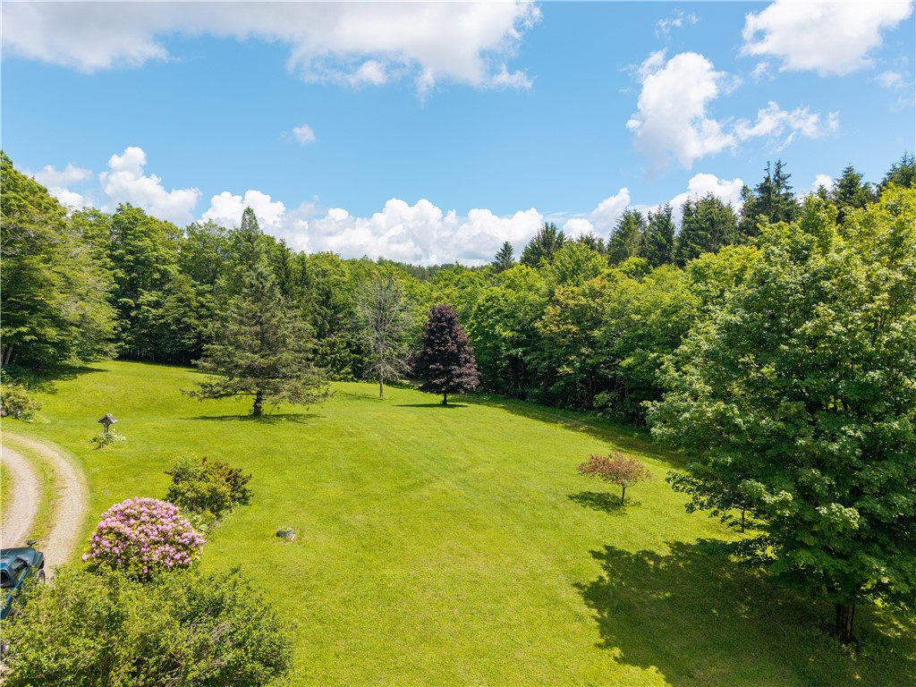 7817 Peglow Road Wayland, NY 14572 - Photo 33 of 46