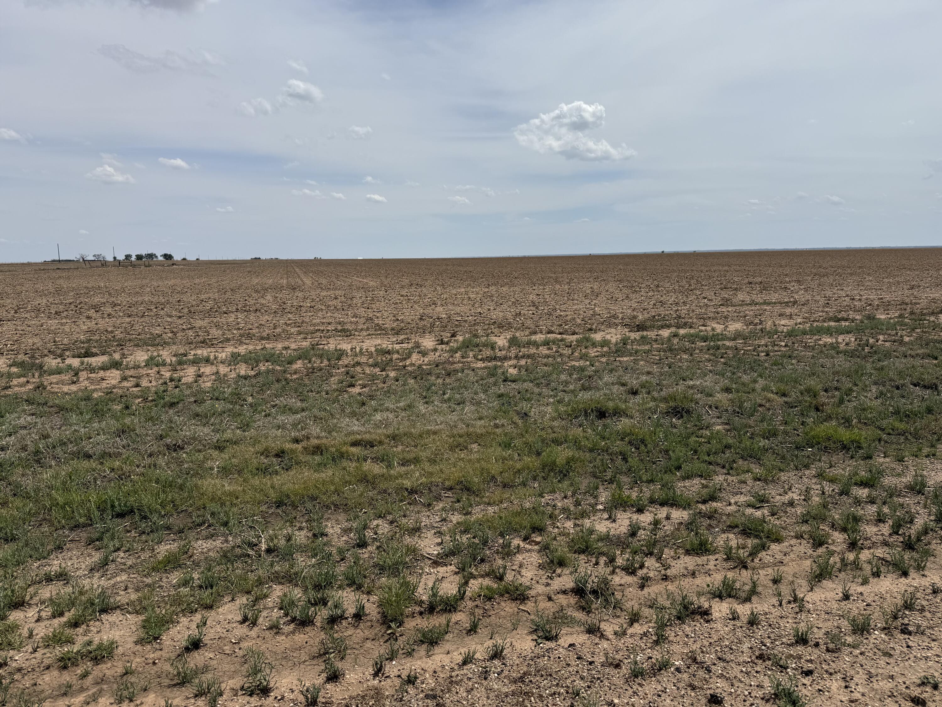 151 Co Road Littlefield, TX 79339 - Photo 4 of 4 IMG_3622