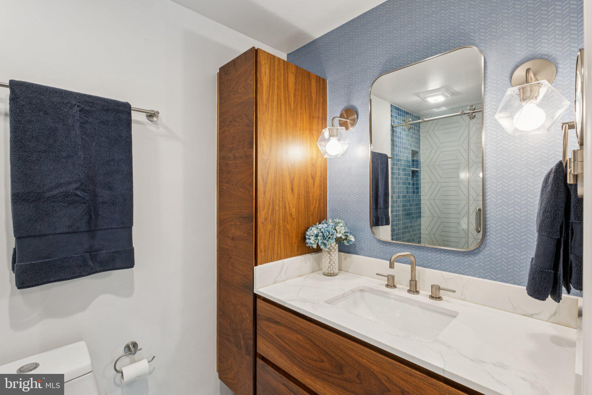 611 Concerto Lane Silver Spring, MD 20901 - Photo 10 of 27 Renovated Primary Bathroom