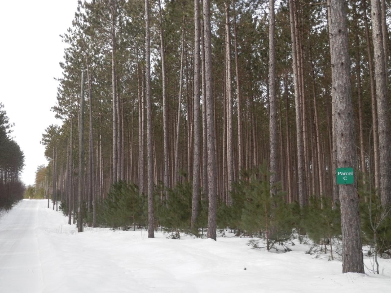 Harlan Road Copemish, MI 49625 - Photo 5 of 15 Parcel C running along the private drive