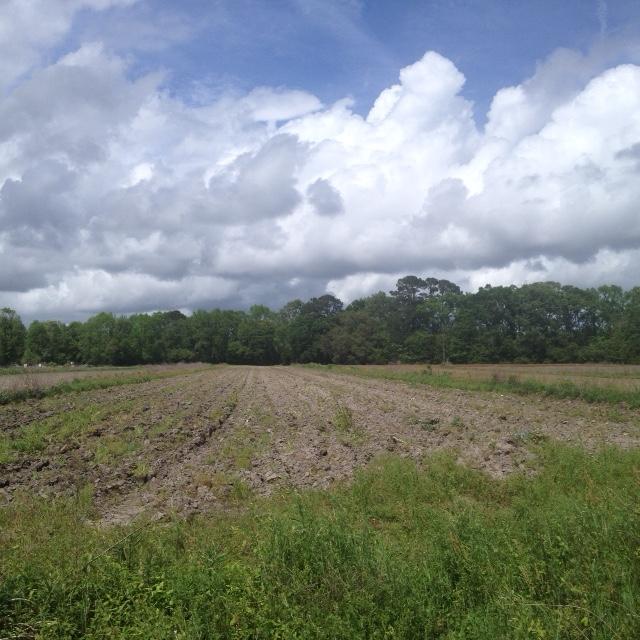 View from Toogoodoo Rd.