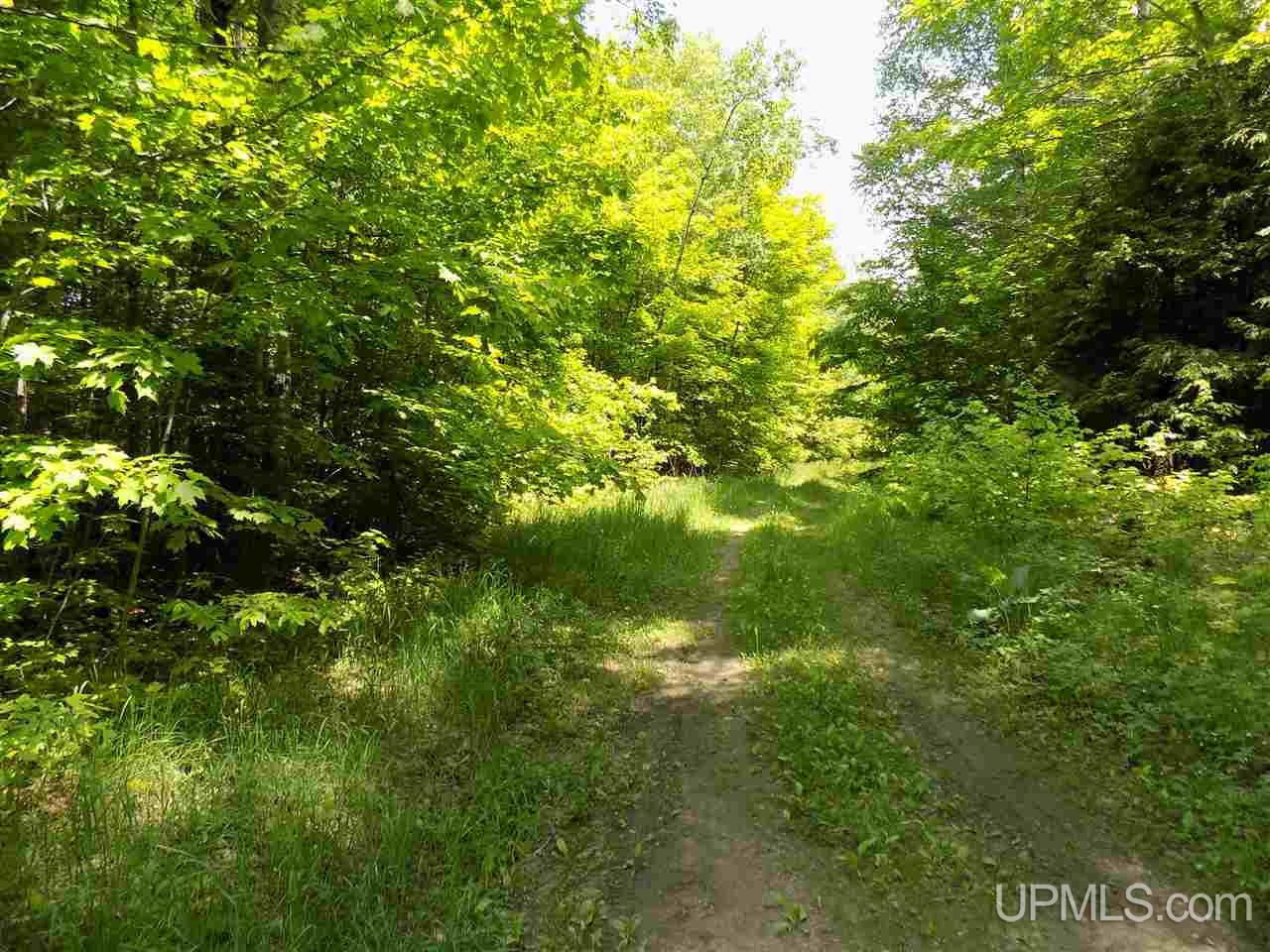 Tbd Aldrich Road Manistique, MI 49854 - Photo 1 of 11 Gallery Image 1