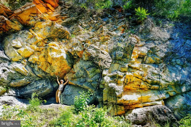 $1,850,000 | 315 Gander's Drive, Luray, VA 22835