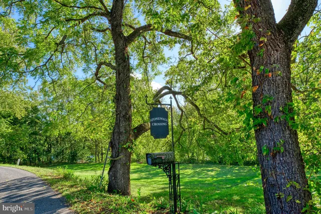 $1,850,000 | 315 Gander's Drive, Luray, VA 22835