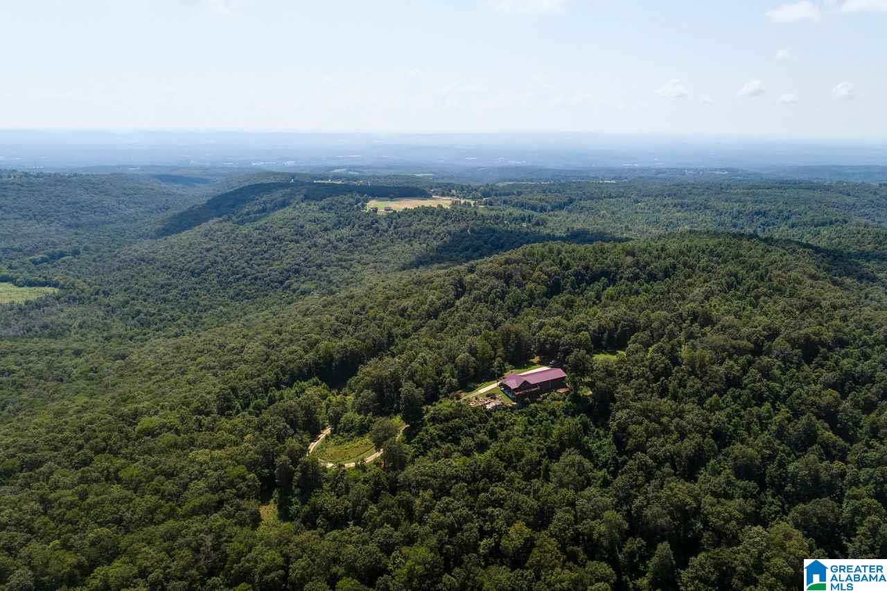 1458 Warnock Peak Road Hayden, AL 35079 - Photo 7 of 50