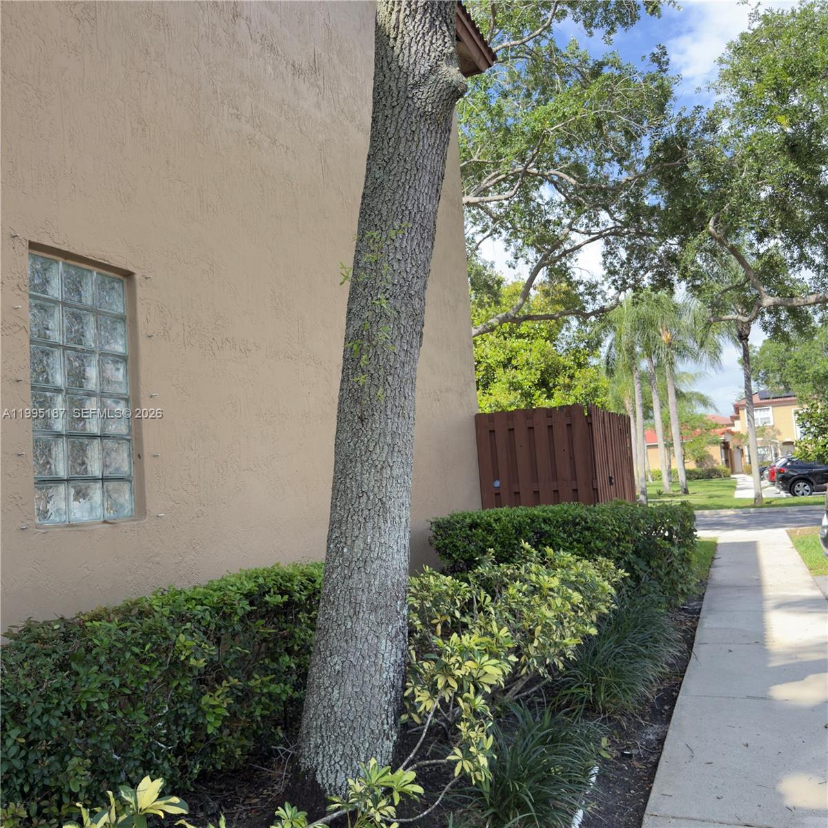 16029 Emerald Cove Road Weston, FL 33331 - Photo 10 of 20 a view of a backyard with plants