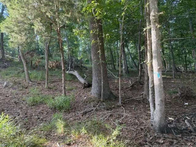 $350,000 | Lot 149 Forrest Drive, Modoc, SC 29838