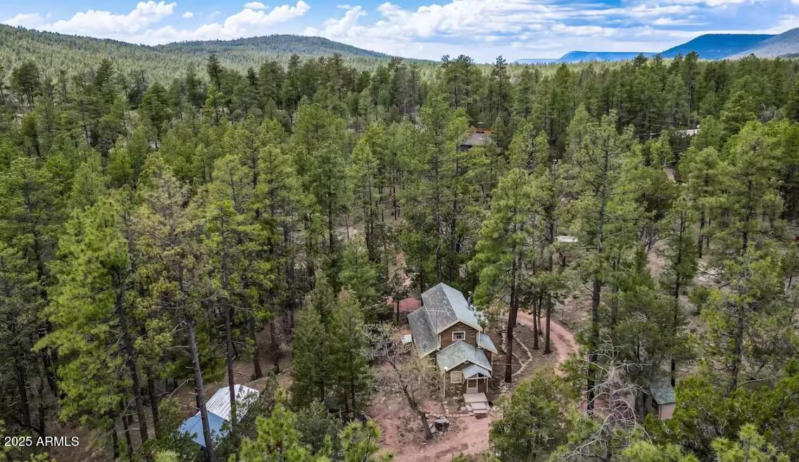 259 South Morris Meadows Payson, AZ 85541 - Photo 15 of 33