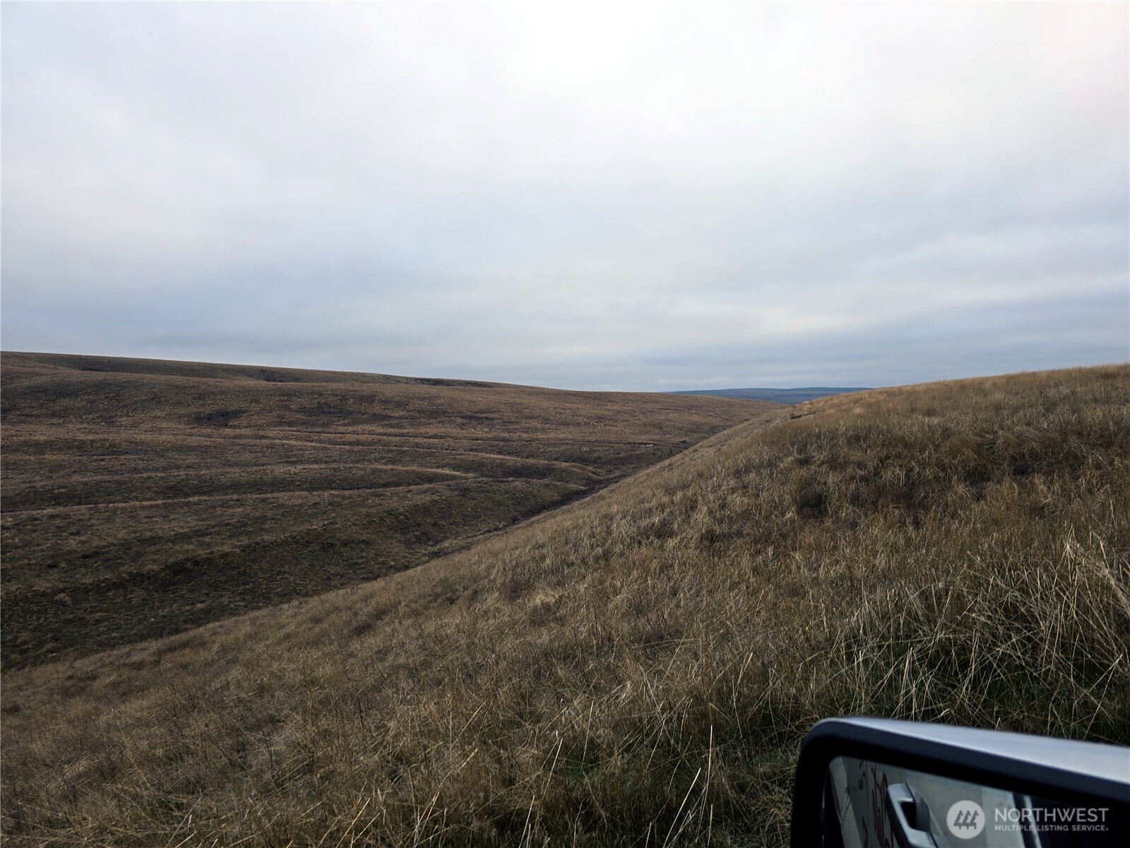 4200 Wadsworth Road Washtucna, WA 99371 - Photo 26 of 28