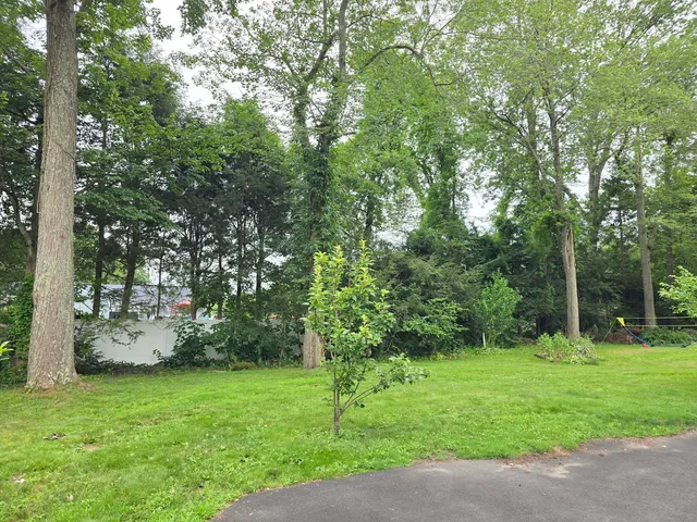 a view of a backyard with large trees