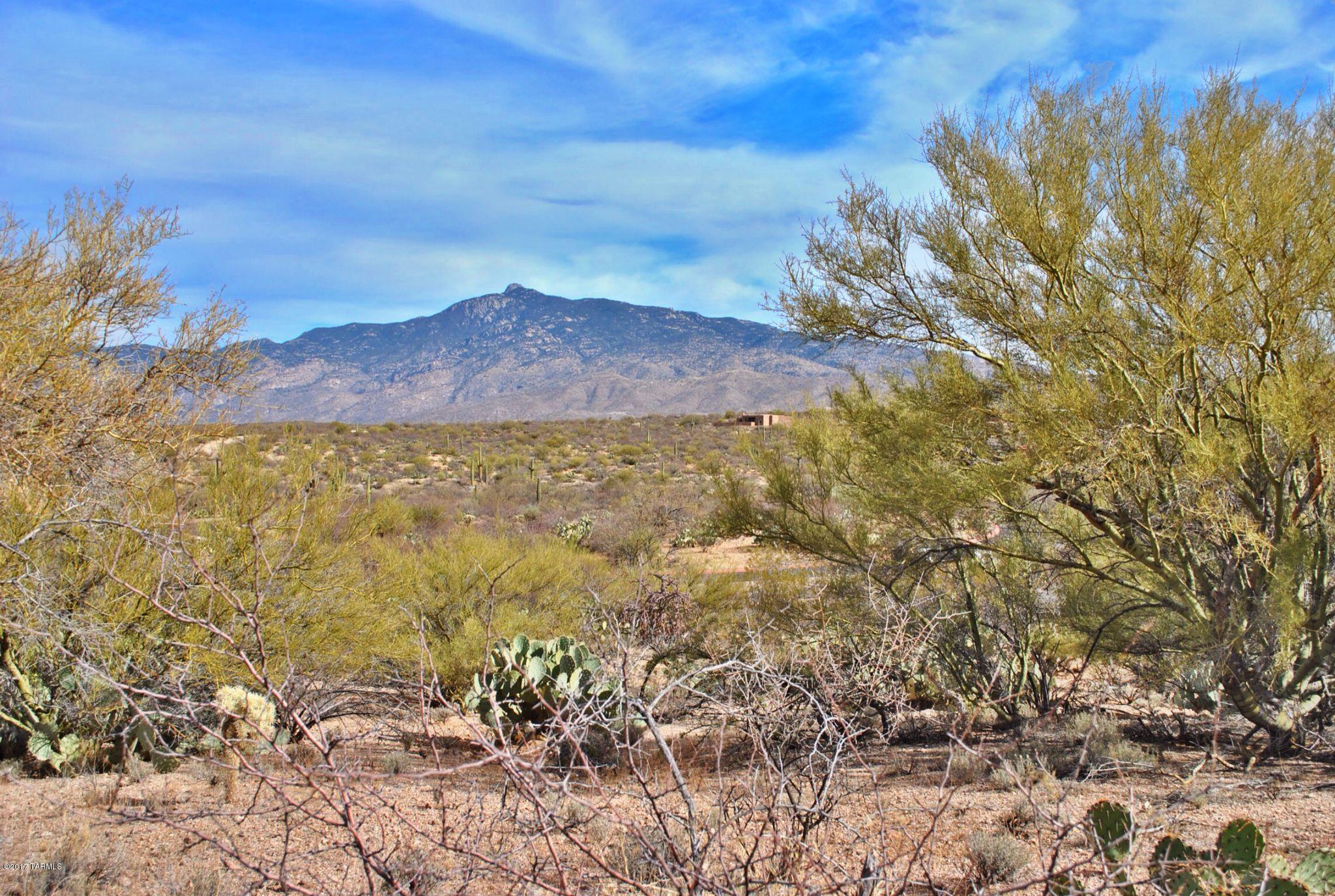 8268 South Long Bar Ranch Place, Unit 98 Vail, AZ 85641 - Photo 5 of 13