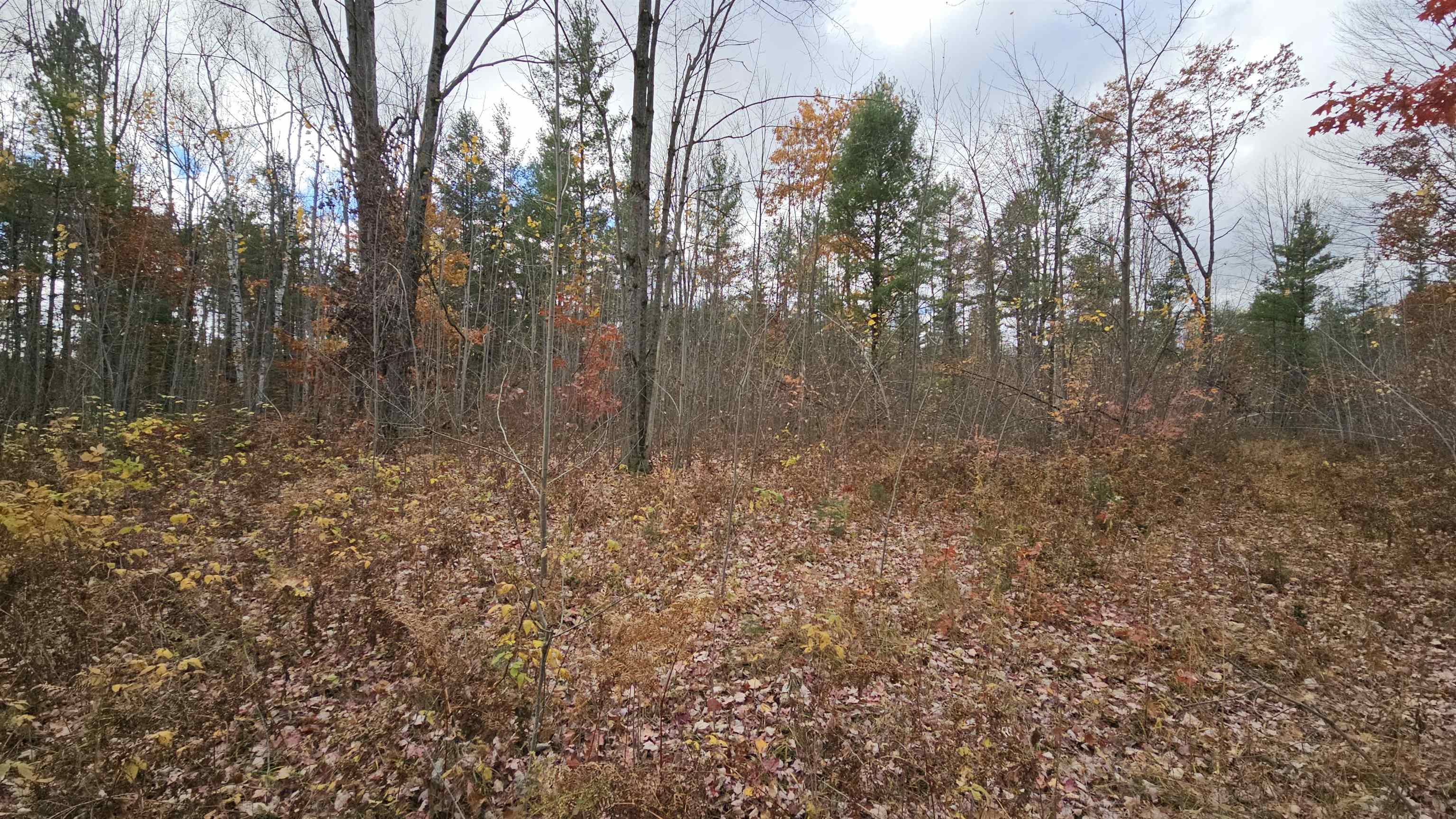 0 South Morrison Road West Branch, MI 48661 - Photo 7 of 9