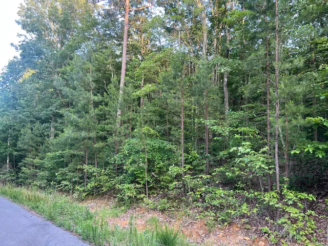 $79,900 | 45 Wohalie Lane, South Pittsburg, TN 37380